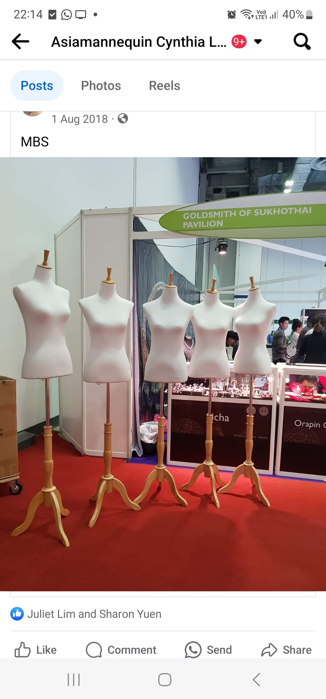 White female torso dress forms on wooden tripod bases