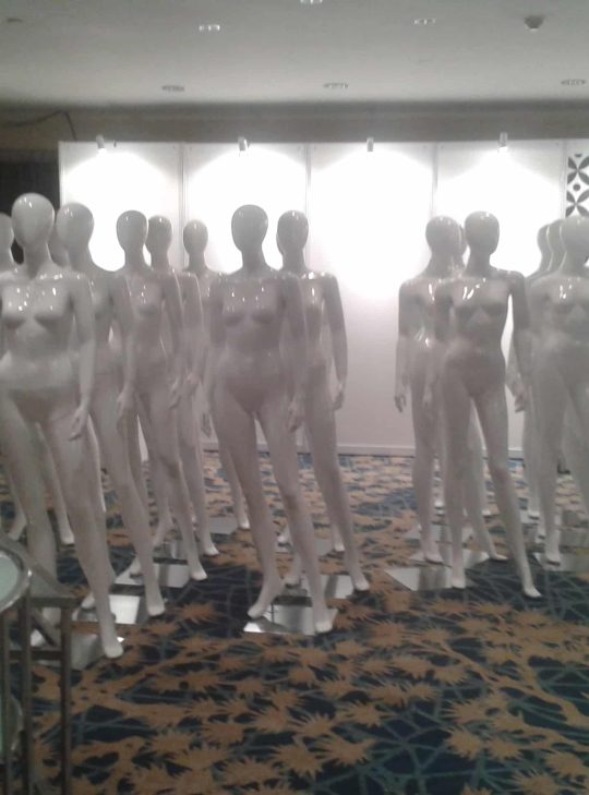 f259124008 f259124008