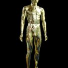MM 23 Male Mannequins Chrome Gold Full Body Polyprolene